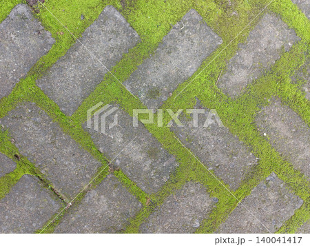 Weathered stones form a herringbone pattern. Moss blankets the gaps between each tile. Textures contrast: rough stone, soft green. Natural wear suggests age and exposure. Weathered stones form a herringbone pattern. Moss blankets the gaps between each tile. Textures contrast: rough stone, soft green. Natural wear suggests age and exposure. 140041417