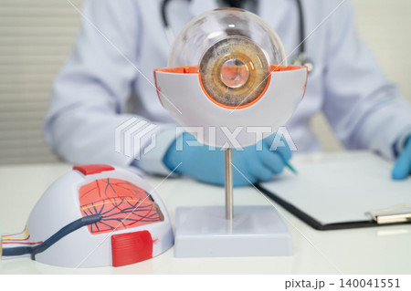 Asian doctor with eye human anatomy model for study diagnosis and treatment in hospital. Asian doctor with eye human anatomy model for study diagnosis and treatment in hospital. 140041551