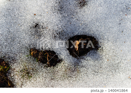 Melting snow reveals dark earth and dry leaves, signaling spring's arrival and nature's gentle awakening. Sunlight catches the thawing ice crystals 140041864