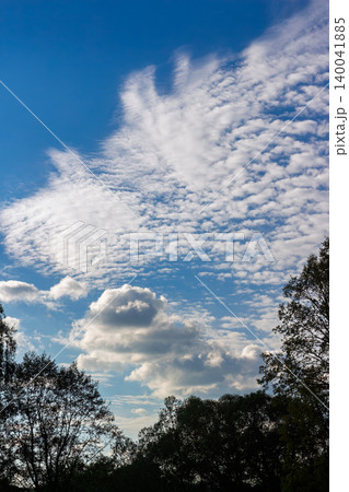 Dazzling mackerel sky with intricate wispy cloud patterns floating across deep blue heaven framed by dark silhouettes of summer tree tops against a bright daylight atmosphere Dazzling mackerel sky with intricate wispy cloud patterns floating across deep blue heaven framed by dark silhouettes of summer tree tops against a bright daylight atmosphere 140041885