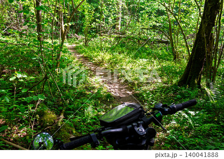First-person perspective view of handlebars while riding a bicycle through a sunlit verdant forest trail surrounded by lush greenery and dense trees during a beautiful summer day First-person perspective view of handlebars while riding a bicycle through a sunlit verdant forest trail surrounded by lush greenery and dense trees during a beautiful summer day 140041888