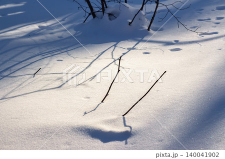 Bright winter snowfield with sharp shadows from bare branches on a sunny day, showcasing texture and contrast Bright winter snowfield with sharp shadows from bare branches on a sunny day, showcasing texture and contrast 140041902
