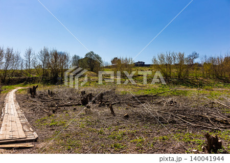 Rustic wooden boardwalk winding through a cleared field with cut branches and young trees under a bright blue sky in the countryside Rustic wooden boardwalk winding through a cleared field with cut branches and young trees under a bright blue sky in the countryside 140041944