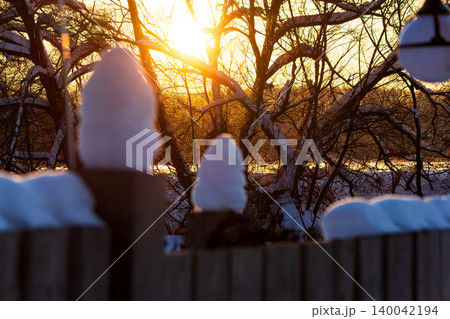 Soft focus snowy fence elements peek into a vibrant golden hour scene. Bright winter sun pierces leafless tree branches, creating a warm glow over the cold landscape Soft focus snowy fence elements peek into a vibrant golden hour scene. Bright winter sun pierces leafless tree branches, creating a warm glow over the cold landscape 140042194