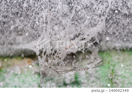 Delicate frozen spiderweb, encrusted with frost and ice droplets, hangs in a concrete tunnel, a winter wonder. Delicate frozen spiderweb, encrusted with frost and ice droplets, hangs in a concrete tunnel, a winter wonder. 140042349