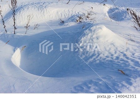 Mesmerizing pristine snow field with sculpted drifts and gentle shadows under bright winter sun. Sparse dry plants add subtle contrast to the white blanket Mesmerizing pristine snow field with sculpted drifts and gentle shadows under bright winter sun. Sparse dry plants add subtle contrast to the white blanket 140042351