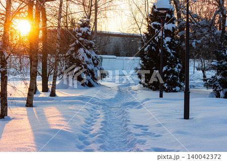 Radiant golden hour sun illuminates a pristine snowy path through winter woods. Fresh snow carpets evergreen trees and a tranquil winding trail, bathed in warm evening light 140042372
