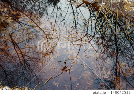 Dark, oily fluid with a thick film poisons the stream, reflecting bare branches. The water's surface, marred by pollution, creates an eerie, abstract pattern. 140042532