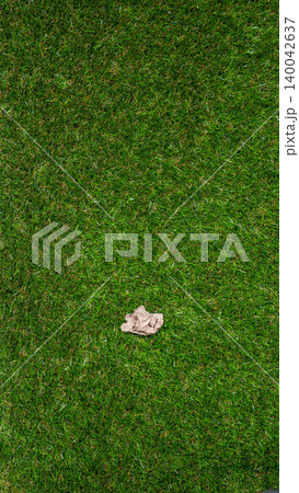 Vertical old recycled paper folded ripped on green grass texture. Vertical old recycled paper folded ripped on green grass texture. 140042637