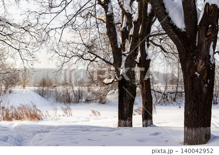 Majestic snow-dusted trees frame a serene frozen river landscape, a cozy winter wonderland under a crisp, bright sky. Peaceful nature scene 140042952