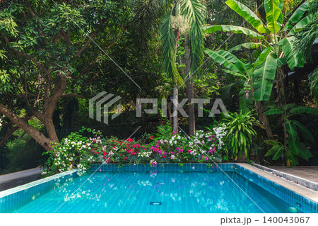 Tropical swimming pool surrounded by lush garden with flowers and palm trees 140043067