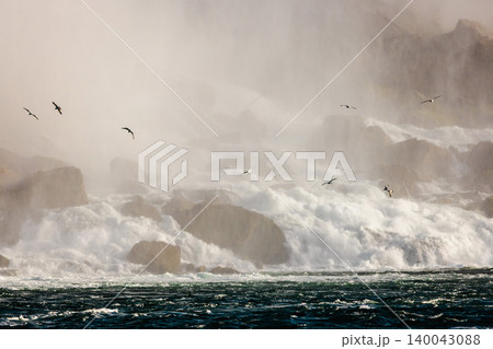 Niagara Falls turbulent water and flying birds in dense mist Niagara Falls turbulent water and flying birds in dense mist 140043088