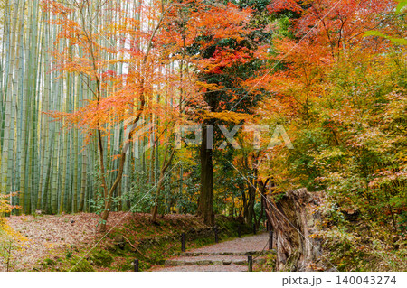 竹林と紅葉の小径 140043274