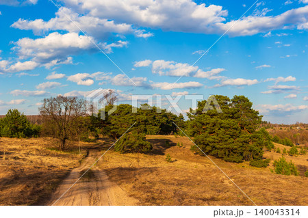 Scenic dirt trail winding through a peaceful pine forest glade under a bright blue sky with fluffy white clouds, showcasing tranquil countryside vibes and golden spring meadow light Scenic dirt trail winding through a peaceful pine forest glade under a bright blue sky with fluffy white clouds, showcasing tranquil countryside vibes and golden spring meadow light 140043314