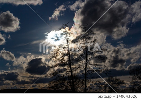 Dramatic silhouette of two bare trees against a bright, sun-veiled sky with dark, brooding clouds, springtime mood light play 140043626