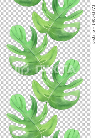 Seamless vertical border of a monstera leaves. Watercolor illustration. Handmade art work. For packaging design, cards, cover, prints, product labels and fabric Seamless vertical border of a monstera leaves. Watercolor illustration. Handmade art work. For packaging design, cards, cover, prints, product labels and fabric 140043773