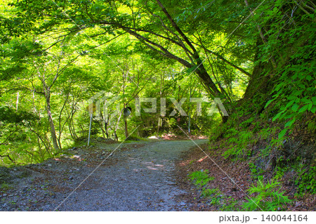 【神奈川県】玄倉林道~ユーシン渓谷へのハイキングコース 【神奈川県】玄倉林道~ユーシン渓谷へのハイキングコース 140044164
