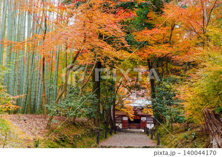 紅葉に包まれた参道 地蔵院 140044170