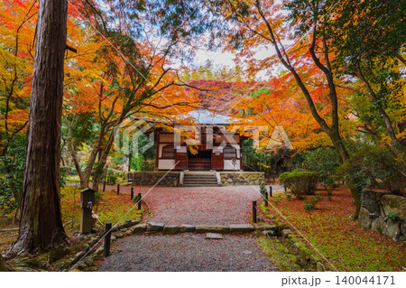 紅葉に包まれた参道 地蔵院 紅葉に包まれた参道 地蔵院 140044171
