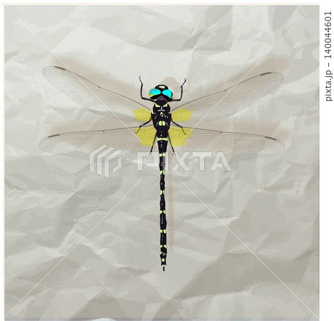 昆虫オニヤンマの細密イラストと紙のテクスチャーイラスト 昆虫オニヤンマの細密イラストと紙のテクスチャーイラスト 140044601