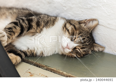 A tabby cat peacefully sleeping on green wooden floor A tabby cat peacefully sleeping on green wooden floor 140044691