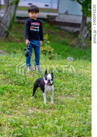 公園で遊ぶ子供とボストンテリアの仔犬 140045030