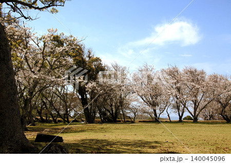 佐賀県の歴史的観光名所、「名護屋城跡」本丸(天守台)の風景 佐賀県の歴史的観光名所、「名護屋城跡」本丸(天守台)の風景 140045096