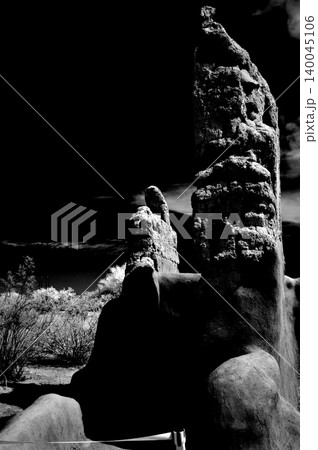 High Contrast Casa Grande National Monument Black and White High Contrast Casa Grande National Monument Black and White 140045106