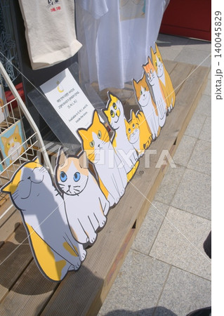 5月の爽やかな光が差し込む、ソウル街角の可愛い猫看板 140045829