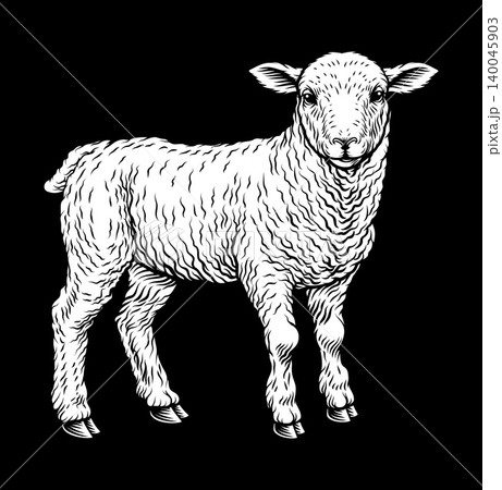 Lamb Woodcut Vintage Farm Animal Illustration Lamb Woodcut Vintage Farm Animal Illustration 140045903