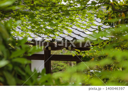新緑に囲まれた京都の寺院の門を額縁構図で捉えた風景写真 140046397