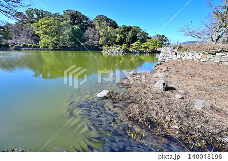 長崎県 肥前「玖島城」の曲輪と遺構 長崎県 肥前「玖島城」の曲輪と遺構 140048198