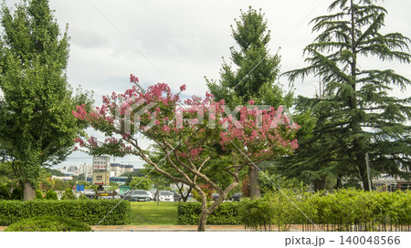 Ojukheon Ojukheon 140048566