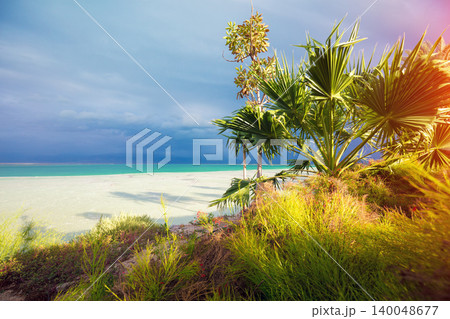 Tropical landscape with dramatic sky. Dead sea shore. Palm trees on the beach. Ein Bokek, Israel 140048677