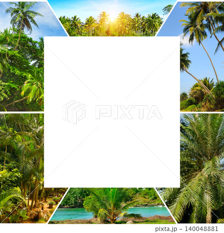 Vibrant tropical collage frame featuring lush green palm trees, sunny exotic jungles, and clear blue skies, creating a beautiful border around a large central white copy space. Vibrant tropical collage frame featuring lush green palm trees, sunny exotic jungles, and clear blue skies, creating a beautiful border around a large central white copy space. 140048881