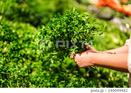 Woman holding fresh parsley bunch at local food market, organic green herbs and healthy natural ingredients Woman holding fresh parsley bunch at local food market, organic green herbs and healthy natural ingredients 140049482