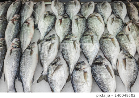 Fresh dorado sea bream and sea bass fish displayed on ice at seafood market counter 140049502
