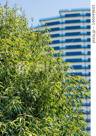 Modern high-rise residential buildings with beautiful new facades against a clear blue sky. Modern high-rise residential buildings with beautiful new facades against a clear blue sky. 140049685