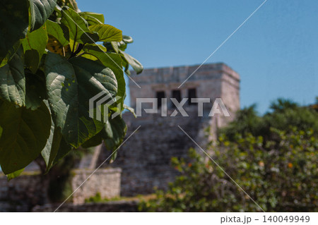 Lush green leaves frame El Castillo at the Tulum ruins, sunlit Mayan stone temple on the Yucatan coast, blending tropical foliage with ancient Mesoamerican history Lush green leaves frame El Castillo at the Tulum ruins, sunlit Mayan stone temple on the Yucatan coast, blending tropical foliage with ancient Mesoamerican history 140049949