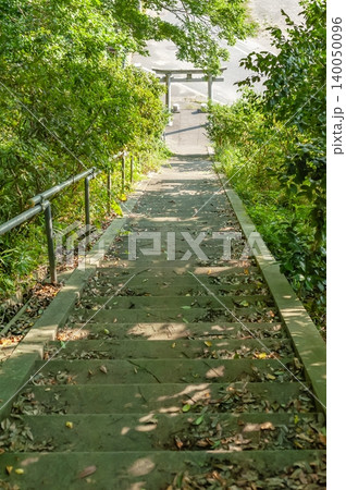 愛宕神社の境内から見下ろす新緑の長い石段と鳥居の風景（鳥取県米子市） 140050096