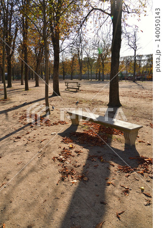 パリ・チュイルリー公園に積もる落ち葉 秋の風景(2022年11月1日) パリ・チュイルリー公園に積もる落ち葉 秋の風景(2022年11月1日) 140050143