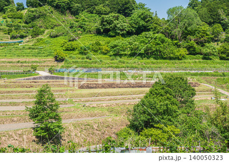 稲渕の棚田 日本の棚田百選 奈良県明日香村 稲渕の棚田 日本の棚田百選 奈良県明日香村 140050323