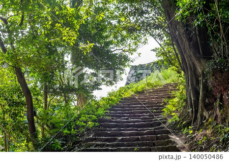米子城跡の登城道に佇む新緑の木々と歴史ある石段(鳥取県米子市) 米子城跡の登城道に佇む新緑の木々と歴史ある石段(鳥取県米子市) 140050486