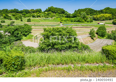 稲渕の棚田 日本の棚田百選 奈良県明日香村 稲渕の棚田 日本の棚田百選 奈良県明日香村 140050491