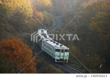 紅葉の中を行くキハ40その1 140050823