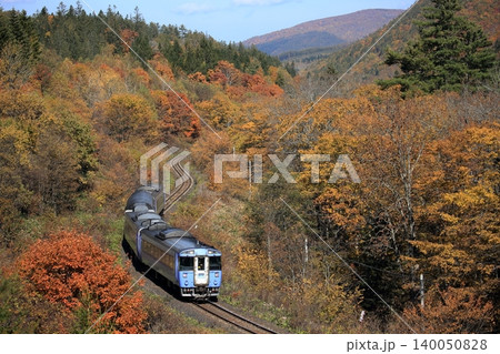 紅葉の中を行く特急オホーツク 紅葉の中を行く特急オホーツク 140050828
