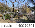 冠崎公園（広島県竹原市） 140050891