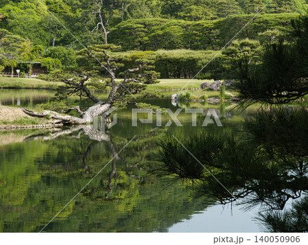 栗林公園の南庭南湖 栗林公園の南庭南湖 140050906