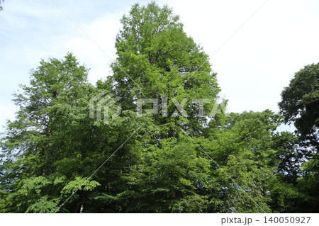 片倉城跡公園 片倉城跡公園 140050927