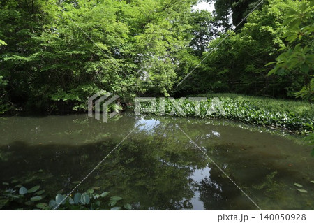 片倉城跡公園 140050928